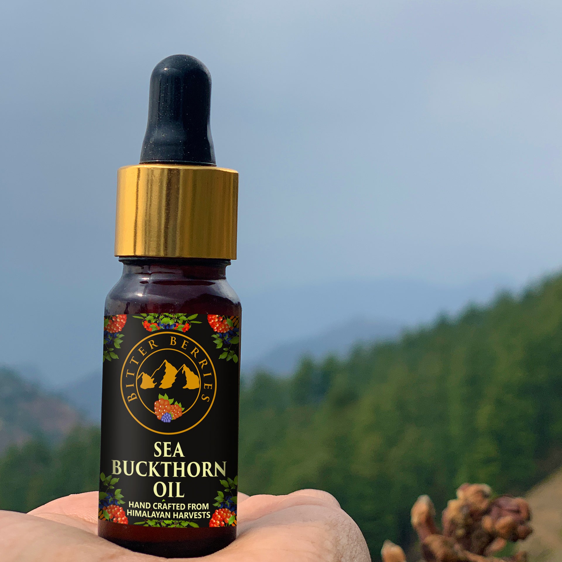 Sea Buckthorn Oil