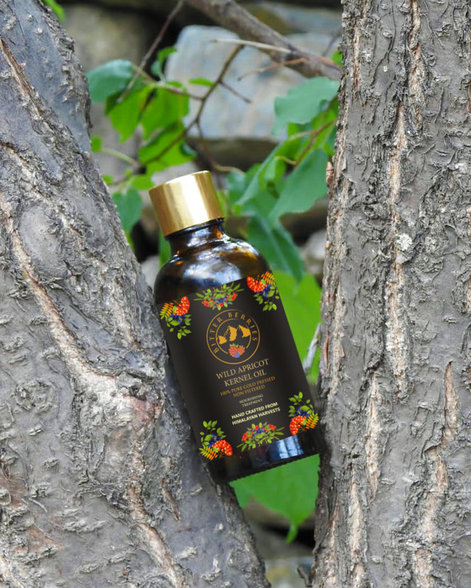 Wild Apricot Kernel Oil