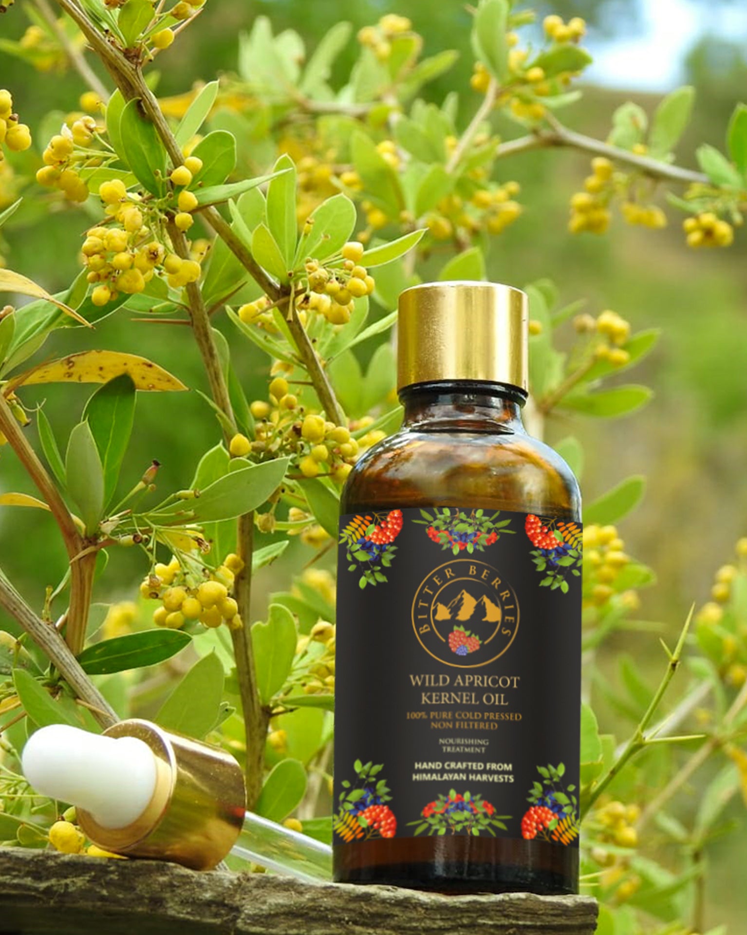 Bitter Berries brings to you 100% Natural Cold Pressed Wild Apricot Oil from the heart of the Himalayan Mountains