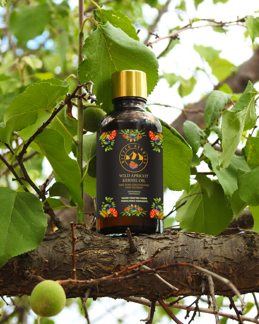 Wild Apricot Kernel Oil