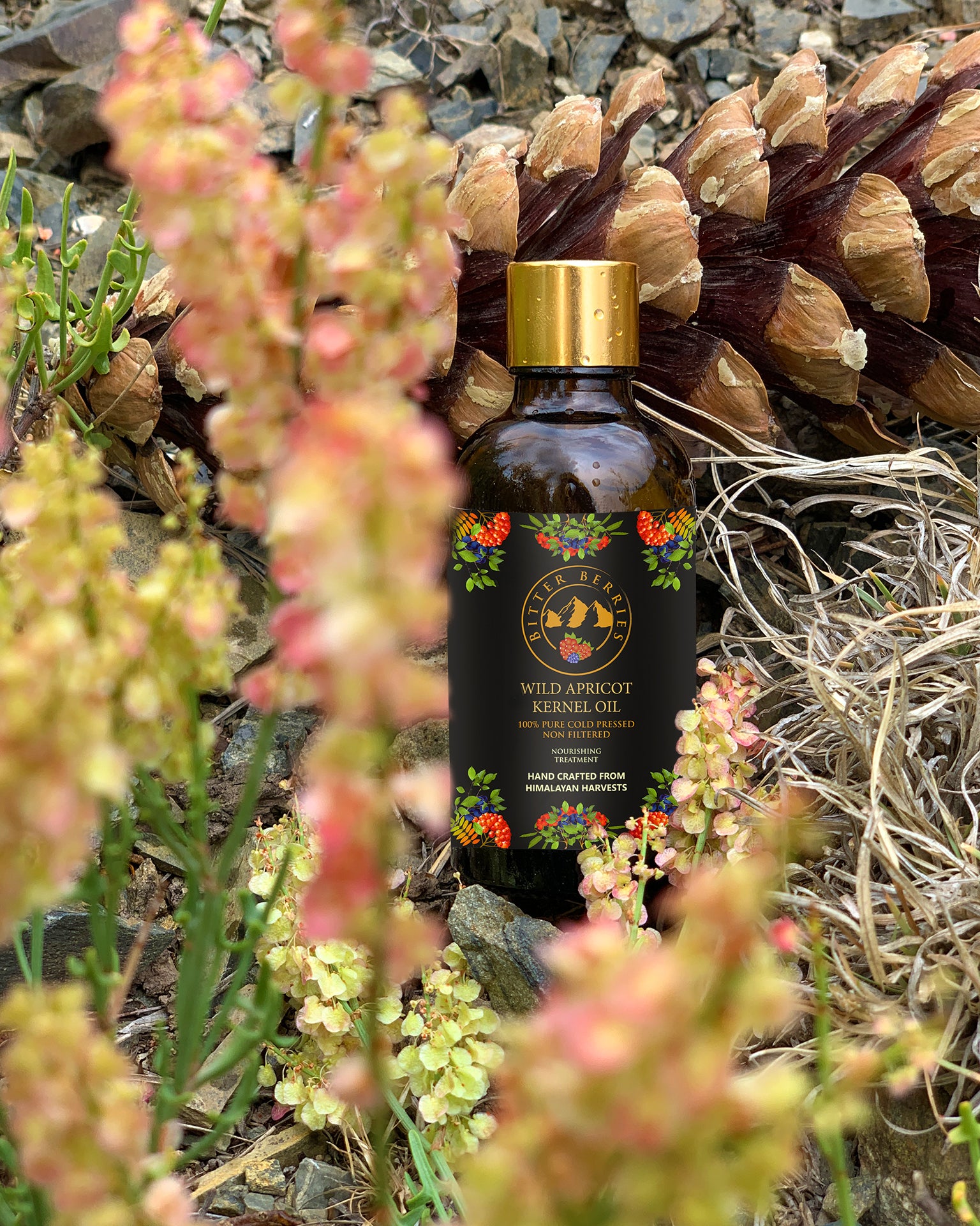 Wild Apricot Kernel Oil