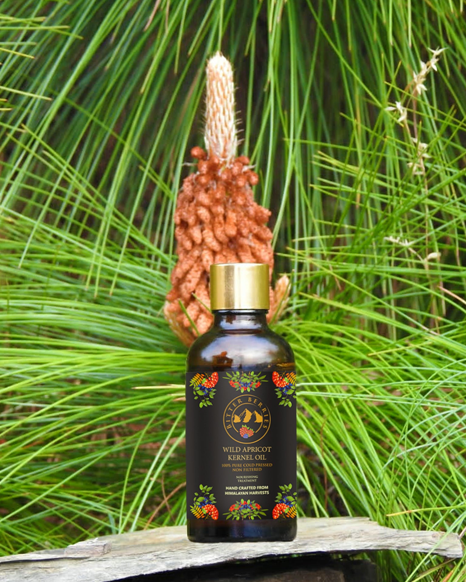 Wild Apricot Kernel Oil