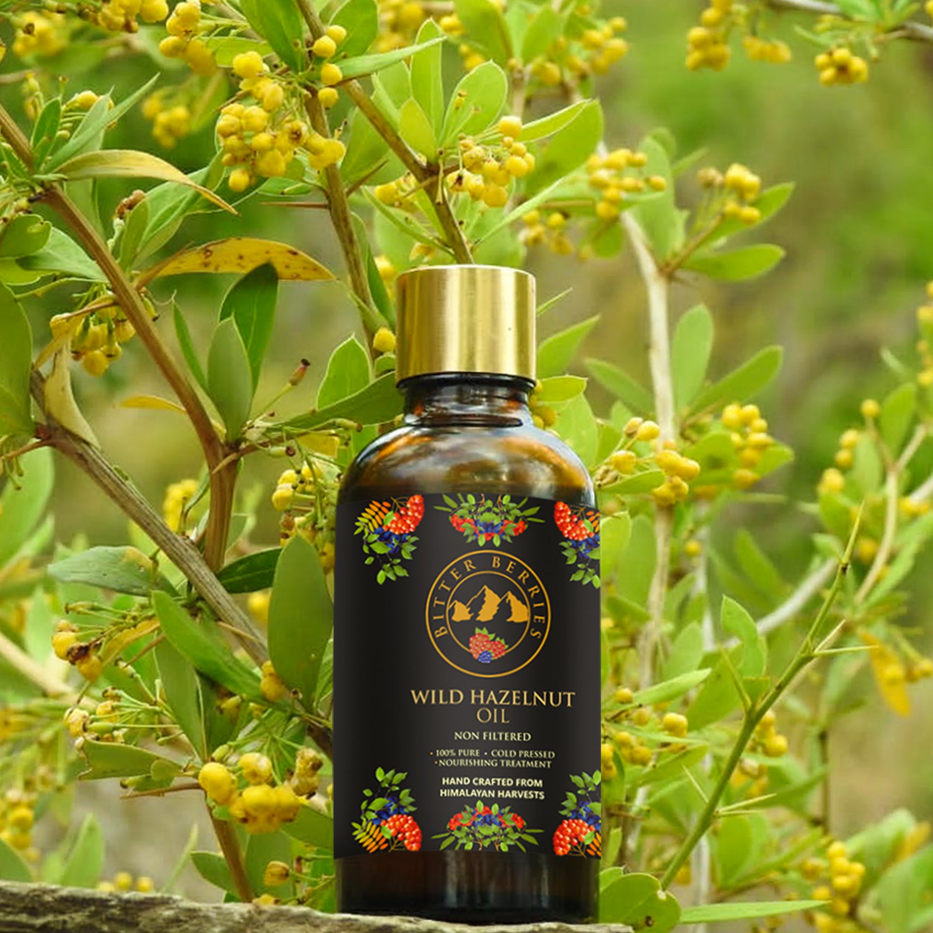 Wild Hazelnut Oil