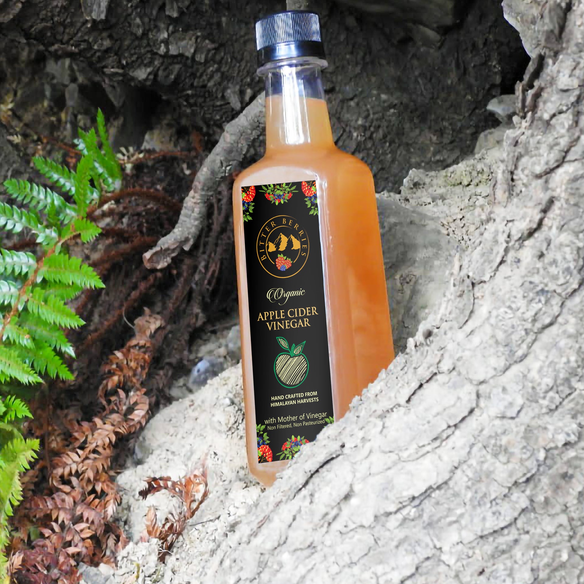 Organic Apple Cider Vinegar