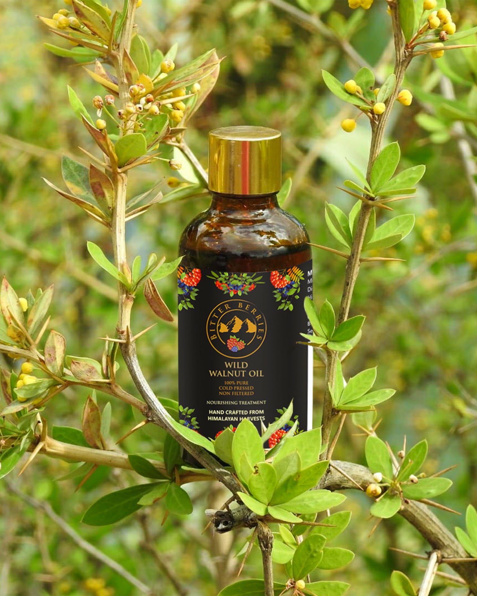 Wild Walnut Oil