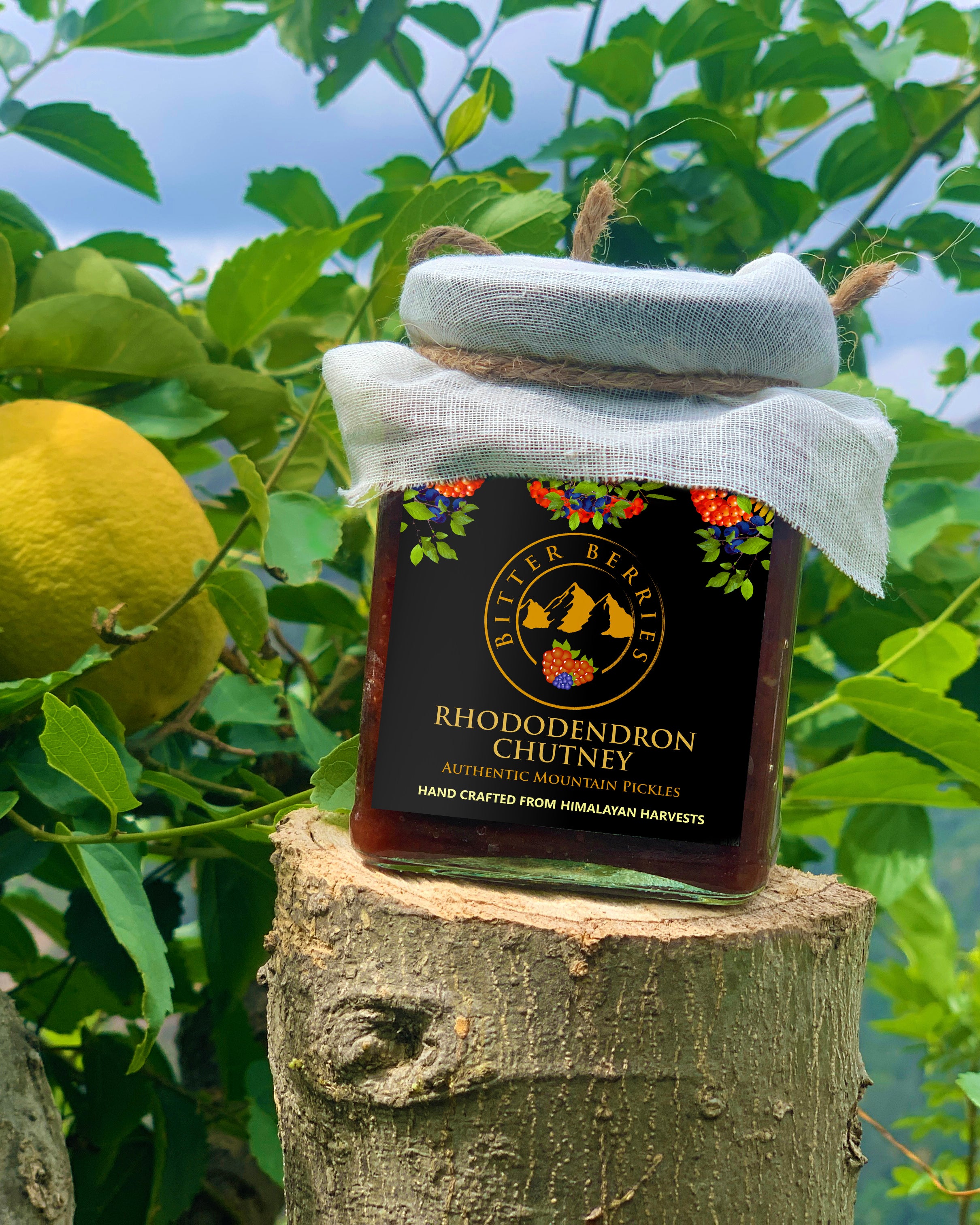 Chutneys and Chukh – Bitter Berries Chutneys and Chukh – Bitter Berries